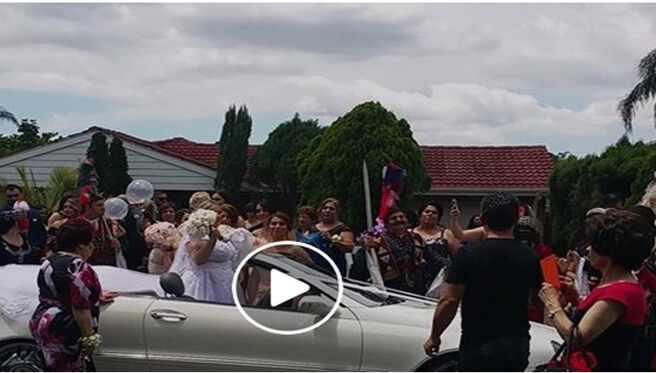 Amore Limousines ~ Assyrian Wedding